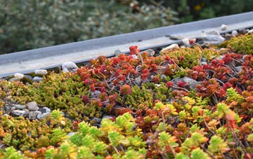 the cost of Trabboch green roof installation