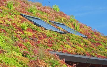 Trabboch living roof systems