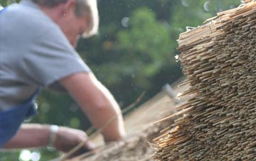 professional Trabboch thatchers