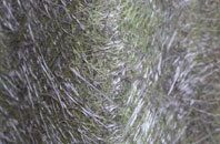 Trabboch fibreglass roof work